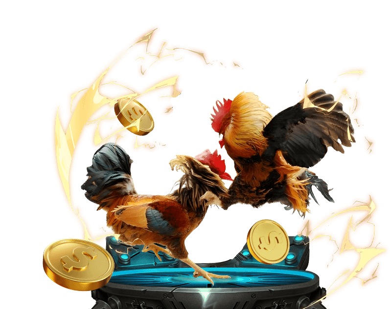 Cá cược Đá Gà Jun88.com