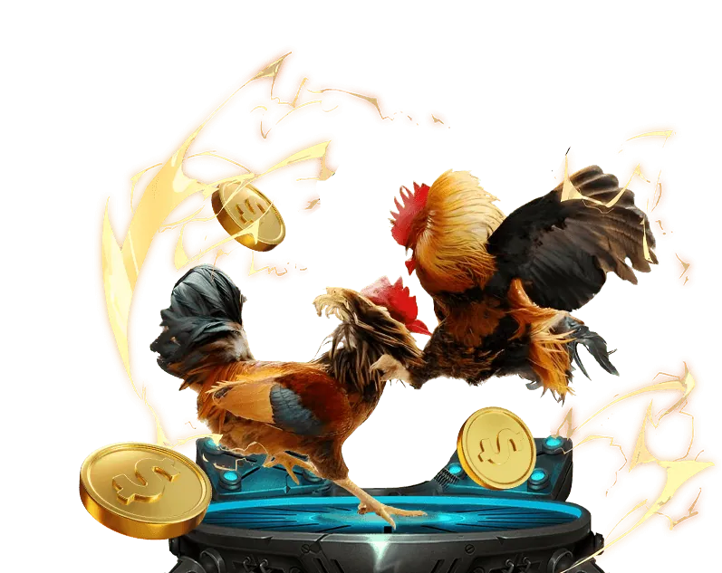 Cá cược Đá Gà Jun88.com